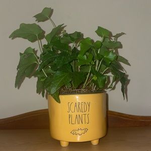 Rae Dunn Footed Ceramic Halloween Planter